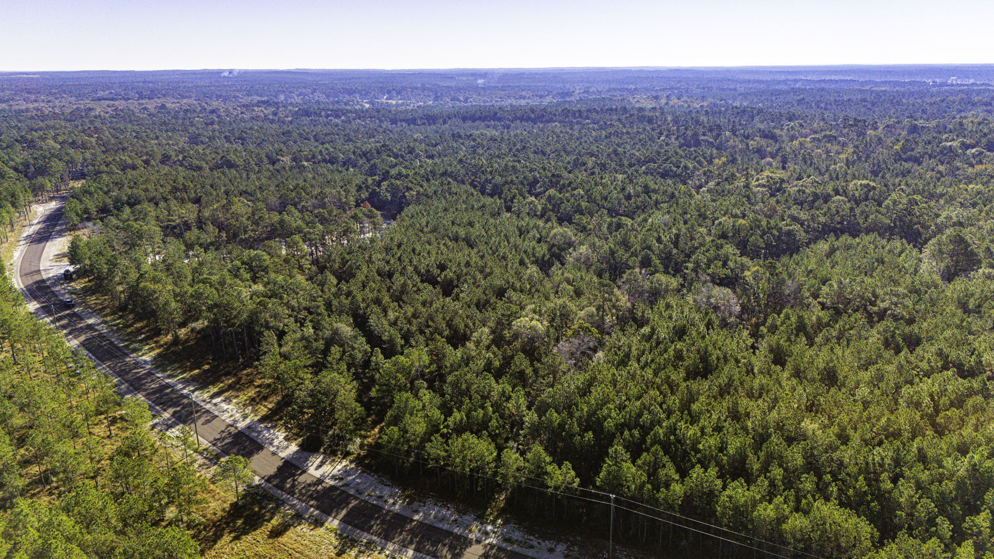 12 Magnolia Ranch Road Onalaska, TX 77360 - Photo 9 of 13 a view of a city with lush green forest