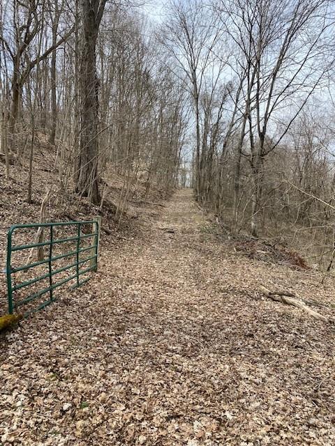 225 Old Ferry Road Rices Landing, PA 15357 - Photo 11 of 25 Gallery Image 11