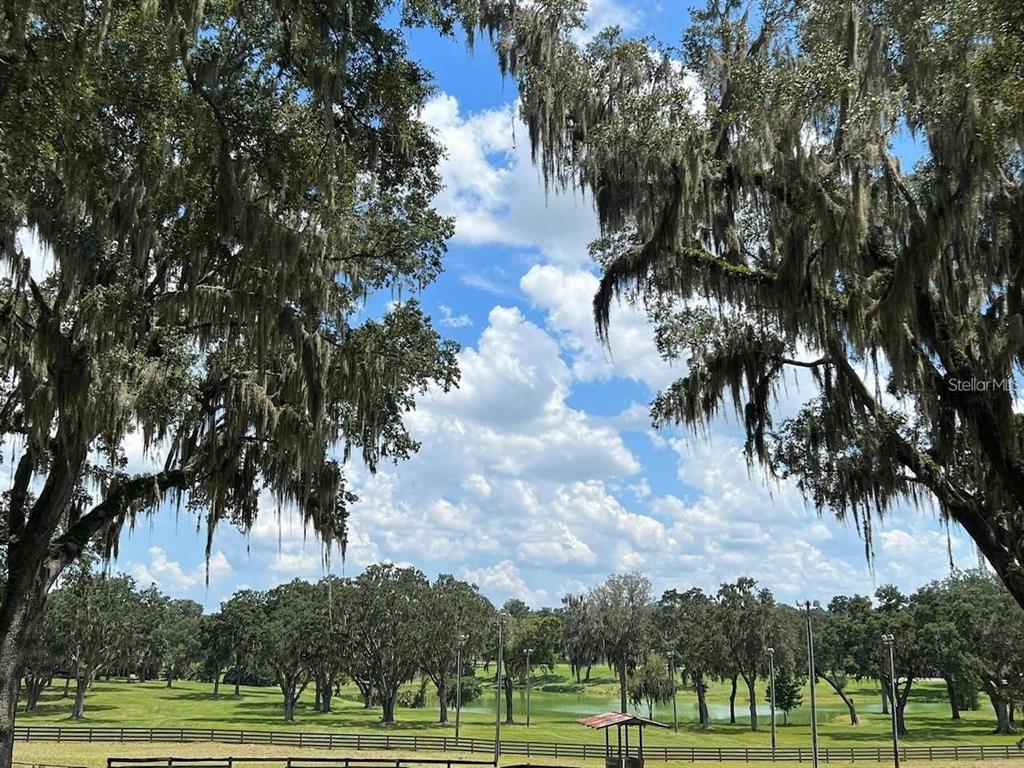 5540 Southeast 157th Street Road, Unit OPTION 1) Summerfield, FL 34491 - Photo 8 of 13