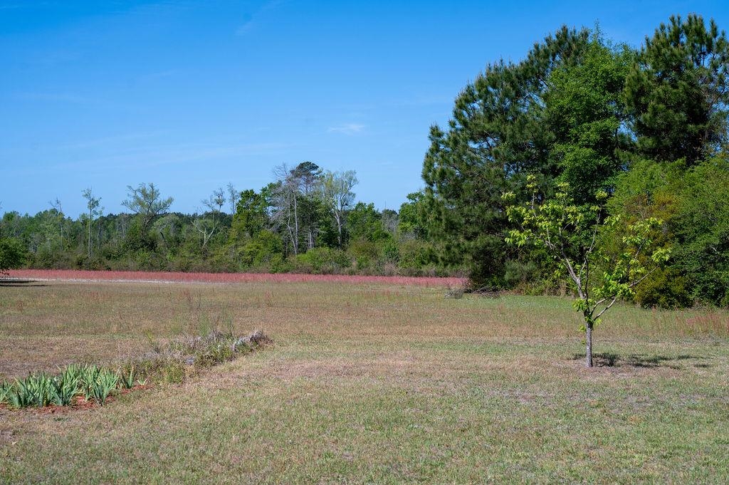 2007 Venus Court Loris, SC 29569 - Photo 6 of 46