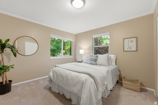 3674 Oak Rim Way Salt Lake City, UT 84109 - Photo 20 of 47 Bedroom with two windows providing abundant natural light, crown molding, and neutral-toned wall paint