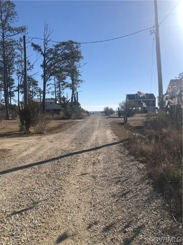 a view of a dry yard with trees