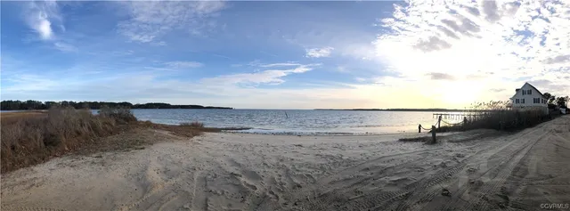 a picture of flowers