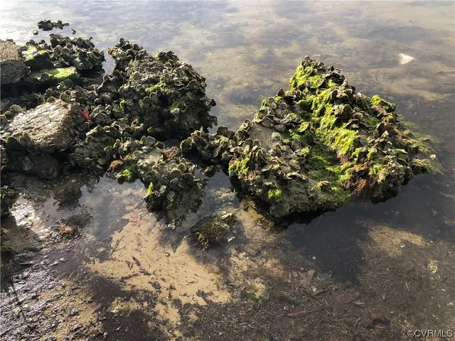 a view of a brick wall and a window
