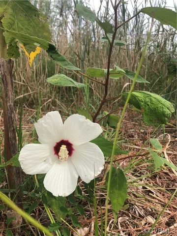 a close view of shower