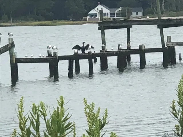 a view of a dry yard