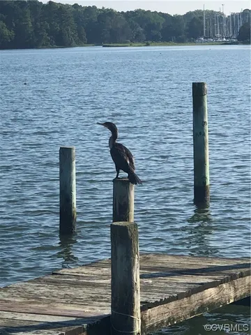 $49,950 | 6-lots On Bayshore Avenue, North, VA 23128