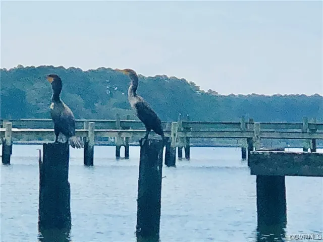 $49,950 | 6-lots On Bayshore Avenue, North, VA 23128