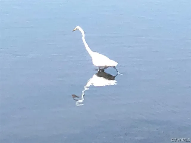 $49,950 | 6-lots On Bayshore Avenue, North, VA 23128