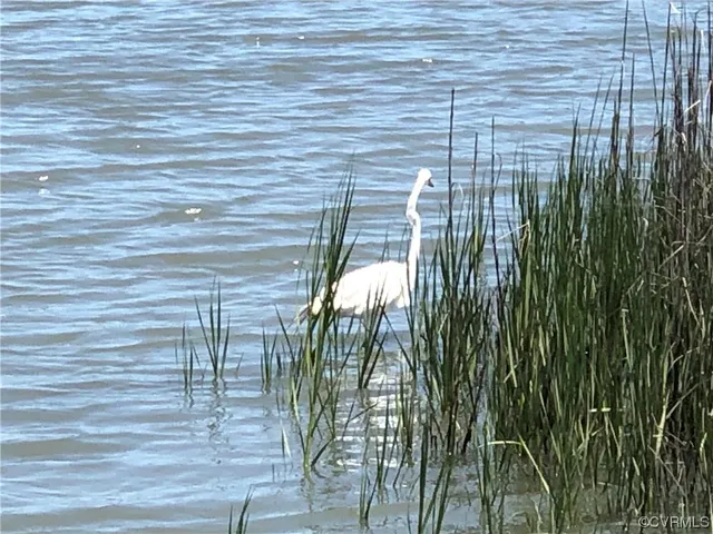 $49,950 | 6-lots On Bayshore Avenue, North, VA 23128