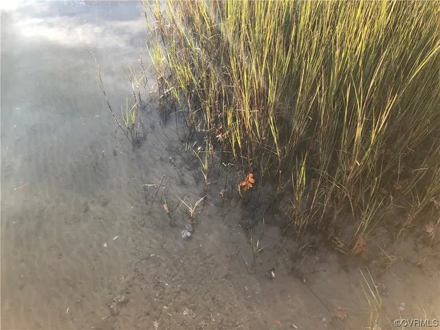 $49,950 | 6-lots On Bayshore Avenue, North, VA 23128