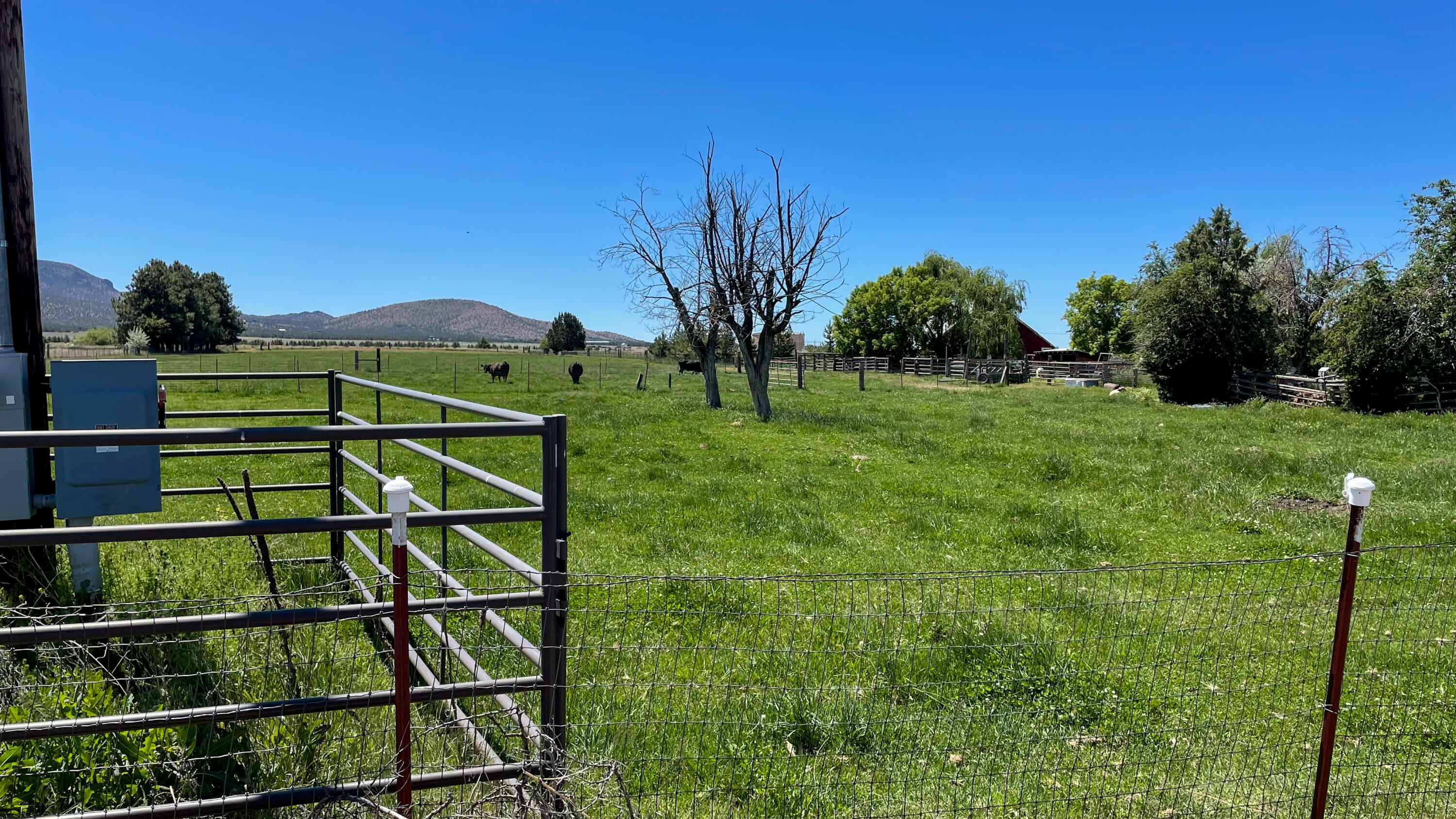 14212 Southwest Riggs Road Powell Butte, OR 97753 - Photo 21 of 48 pasture
