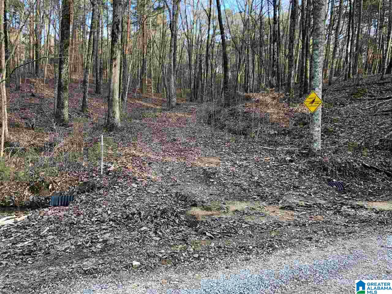0 Drake Drive Springville, AL 35146 - Photo 5 of 23