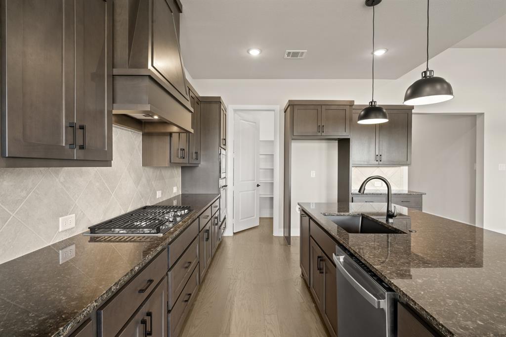 17224 Musial Court Justin, TX 76247 - Photo 2 of 27 17224 Musial- Kitchen-3