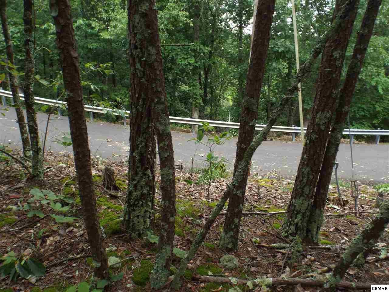4 Lloyd Huskey Road Pigeon Forge, TN 37863 - Photo 5 of 10