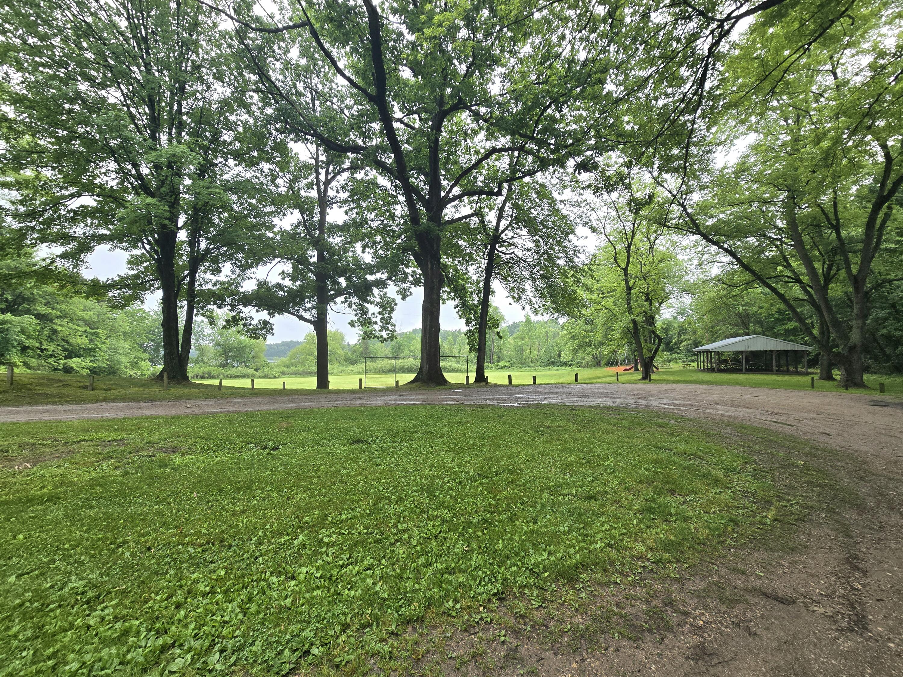 17760 White Road Bailey, MI 49303 - Photo 6 of 56 1000056945