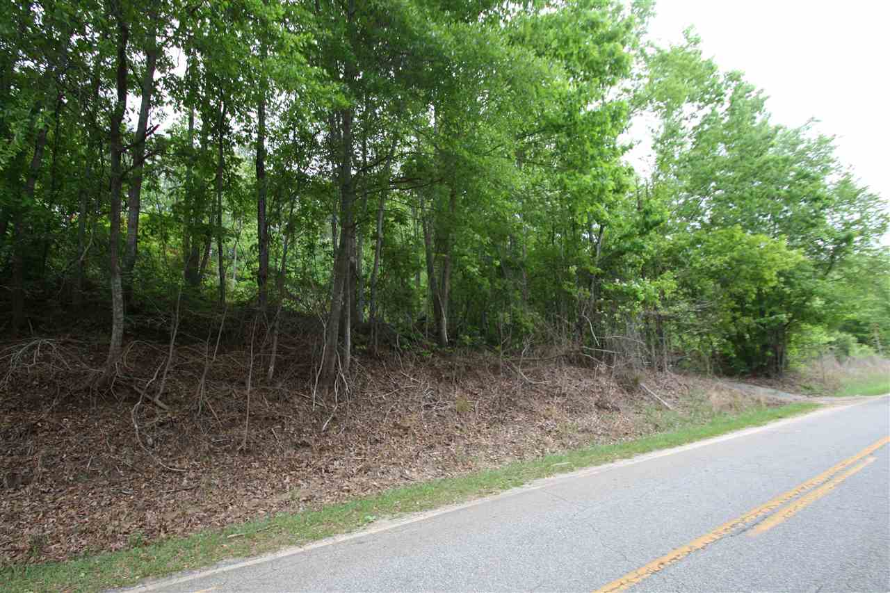 1770 Spivey Creek Road Landrum, SC 29356 - Photo 3 of 6