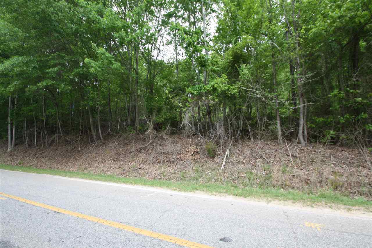 1770 Spivey Creek Road Landrum, SC 29356 - Photo 4 of 6