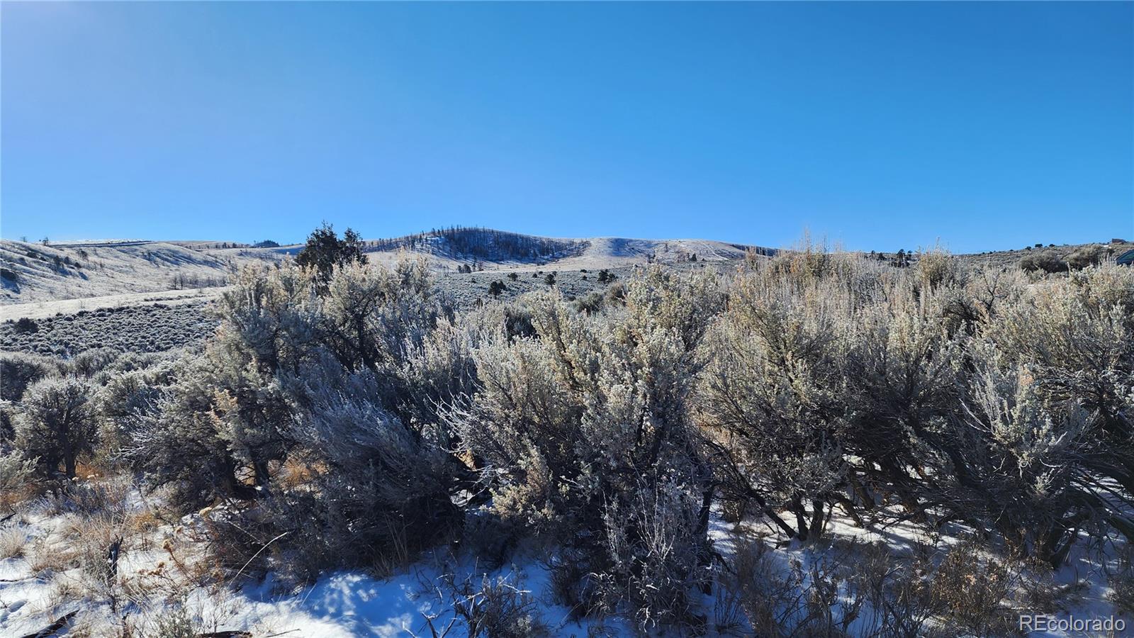 4862 Lalli Road Fort Garland, CO 81133 - Photo 9 of 17 Gallery Image 9