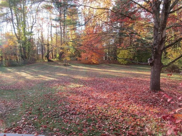 a view of a yard with a trees