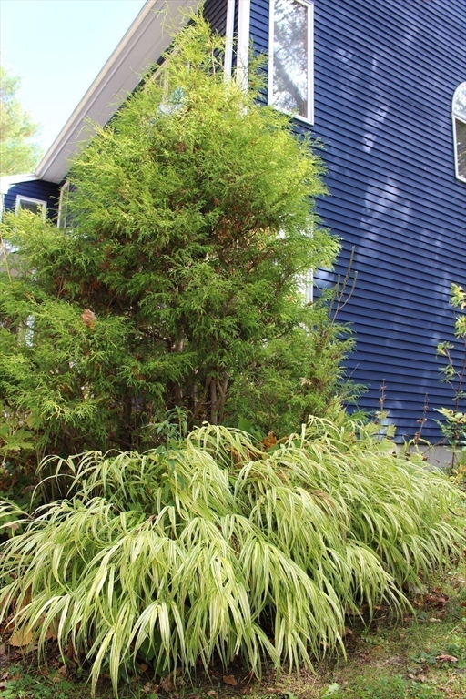 319 Greenfield Road Leyden, MA 01301 - Photo 40 of 40 Gallery Image 40