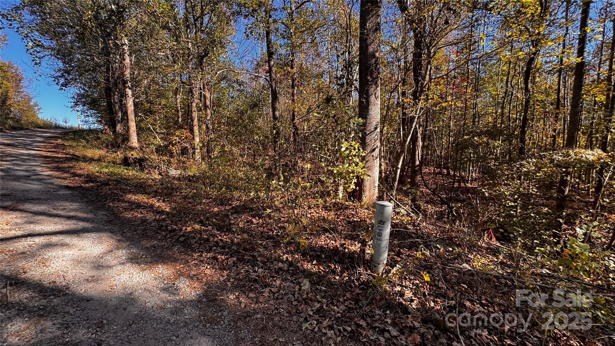 0 Dewroe Drive Morganton, NC 28655 - Photo 3 of 6 a view of a forest