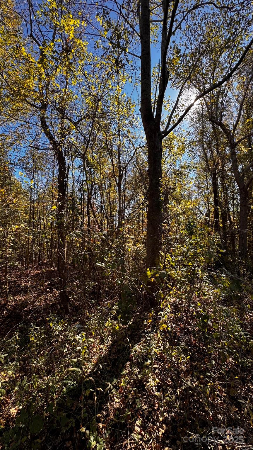 0 Dewroe Drive Morganton, NC 28655 - Photo 4 of 6