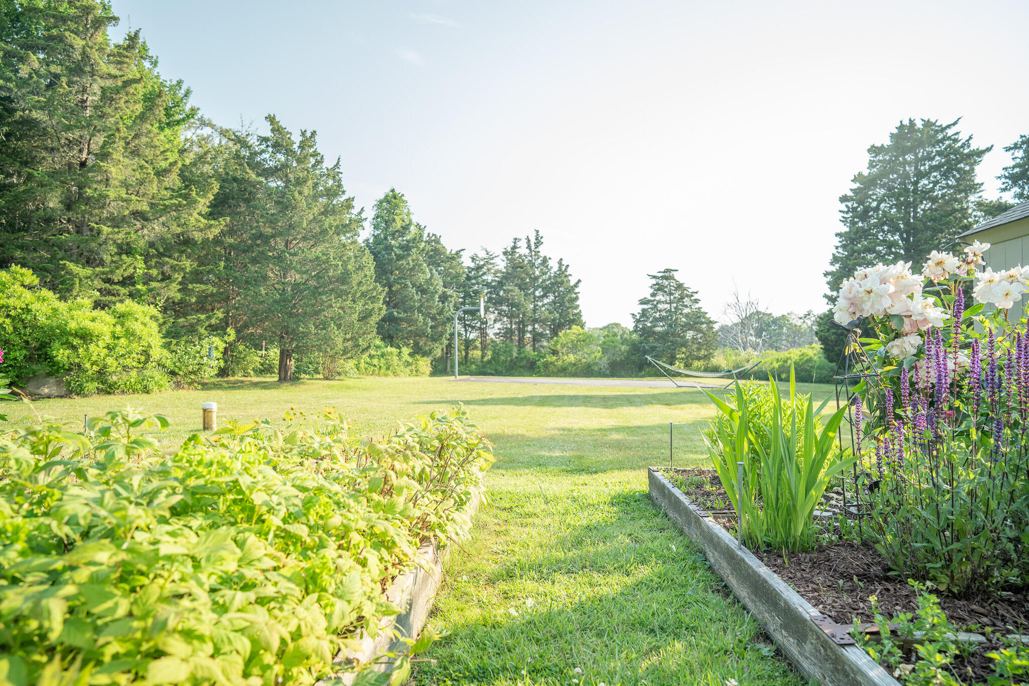 625 Bridge Road Eastham, MA 02642 - Photo 92 of 104 a view of a yard with an outdoor space