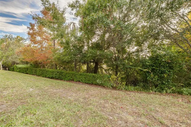 a view of a yard with a trees