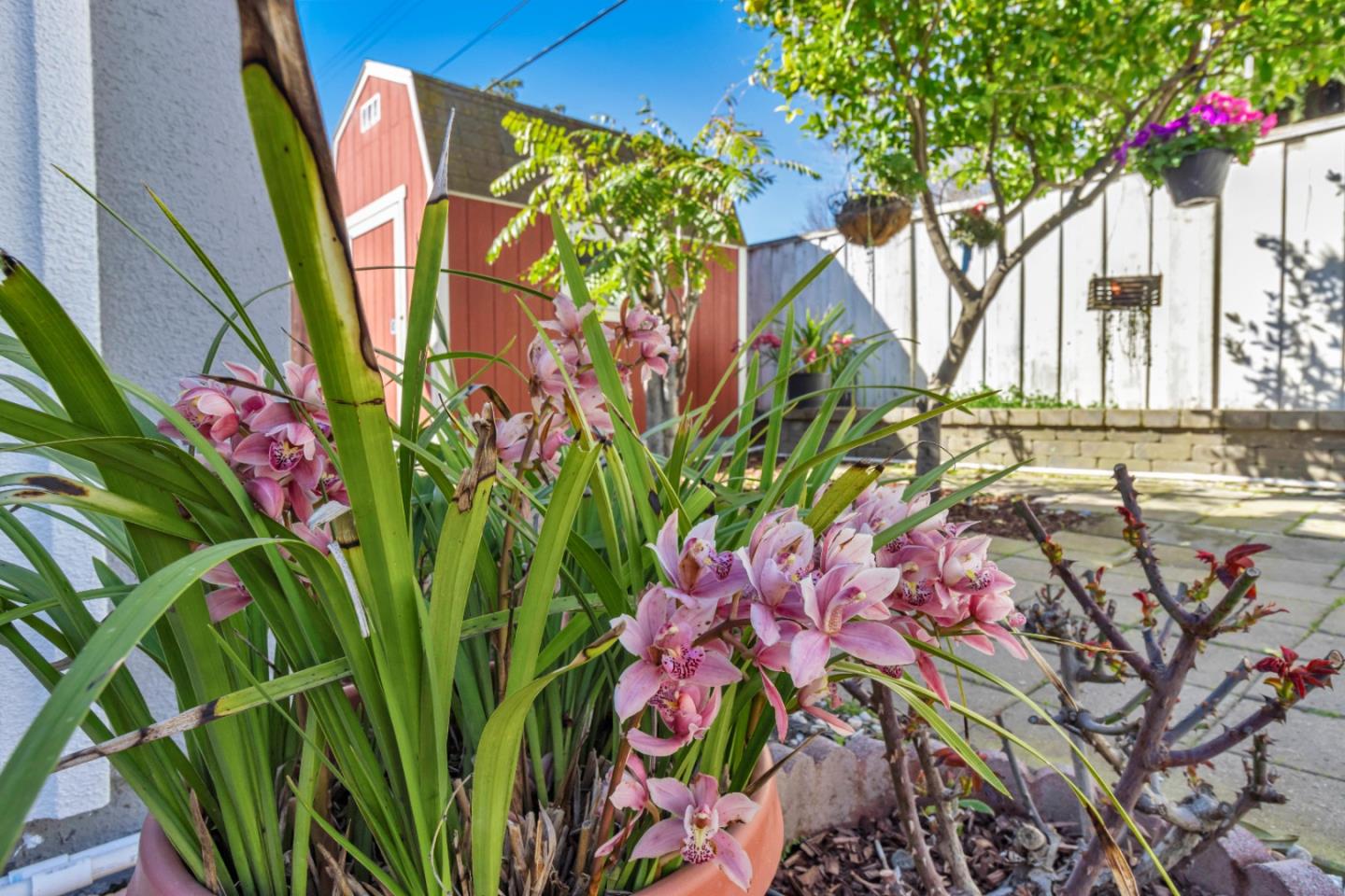 152 Brian Lane Santa Clara, CA 95051 - Photo 13 of 76