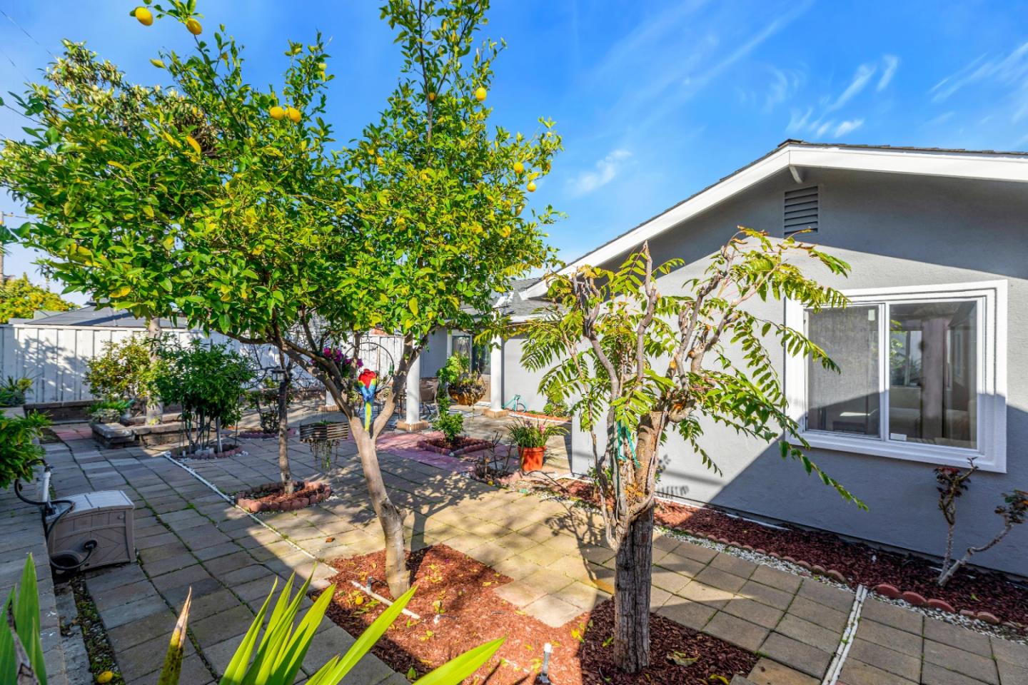 152 Brian Lane Santa Clara, CA 95051 - Photo 17 of 76 a backyard of a house with table and chairs