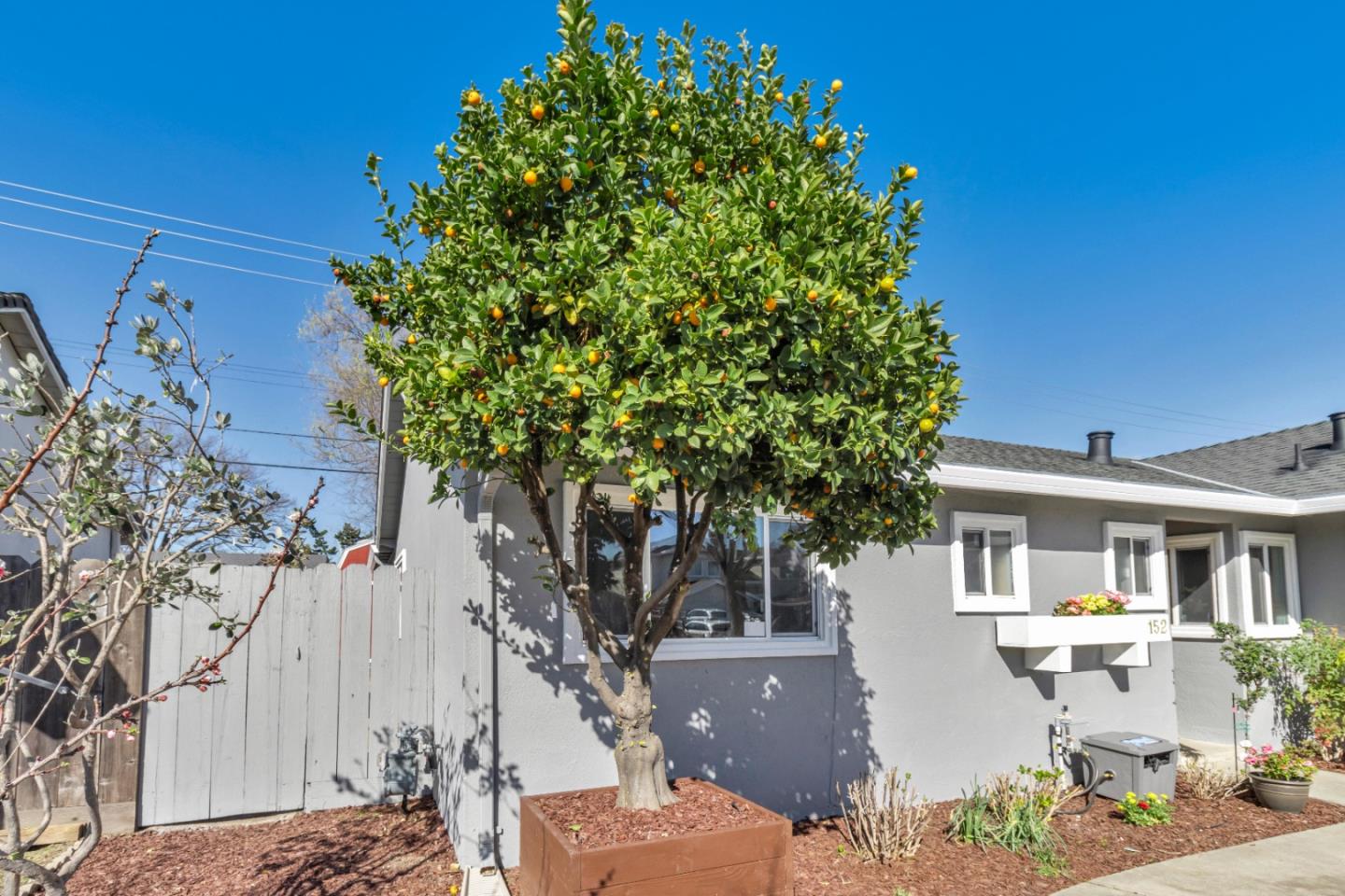 152 Brian Lane Santa Clara, CA 95051 - Photo 27 of 76 front view of a house with a tree
