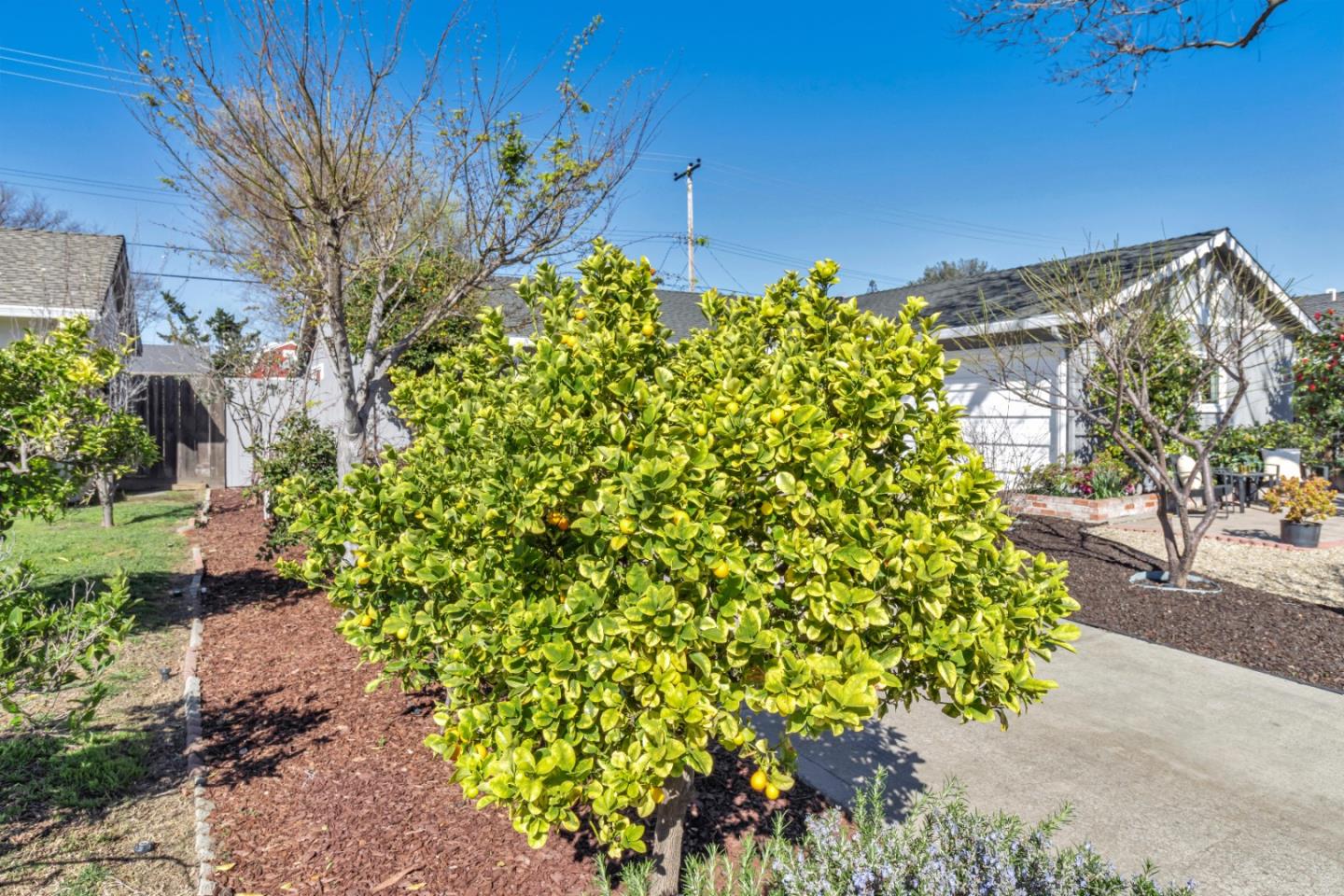 152 Brian Lane Santa Clara, CA 95051 - Photo 34 of 76