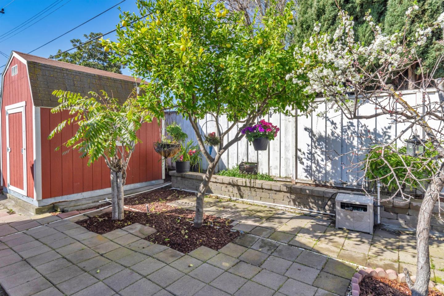 152 Brian Lane Santa Clara, CA 95051 - Photo 35 of 76 a tree in a backyard of a house