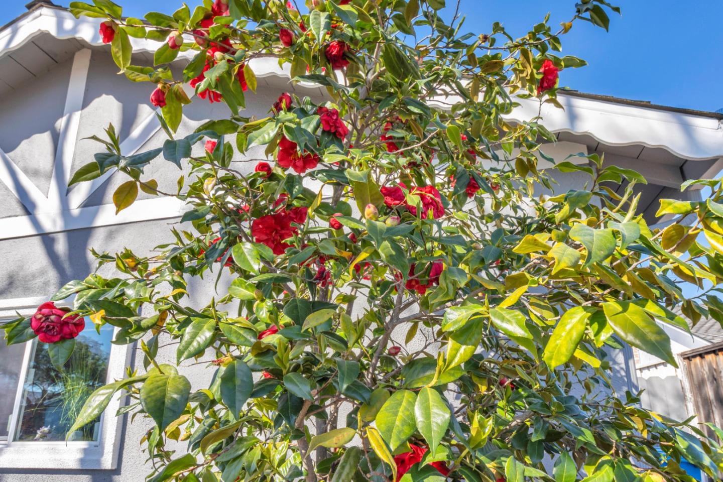 152 Brian Lane Santa Clara, CA 95051 - Photo 5 of 76