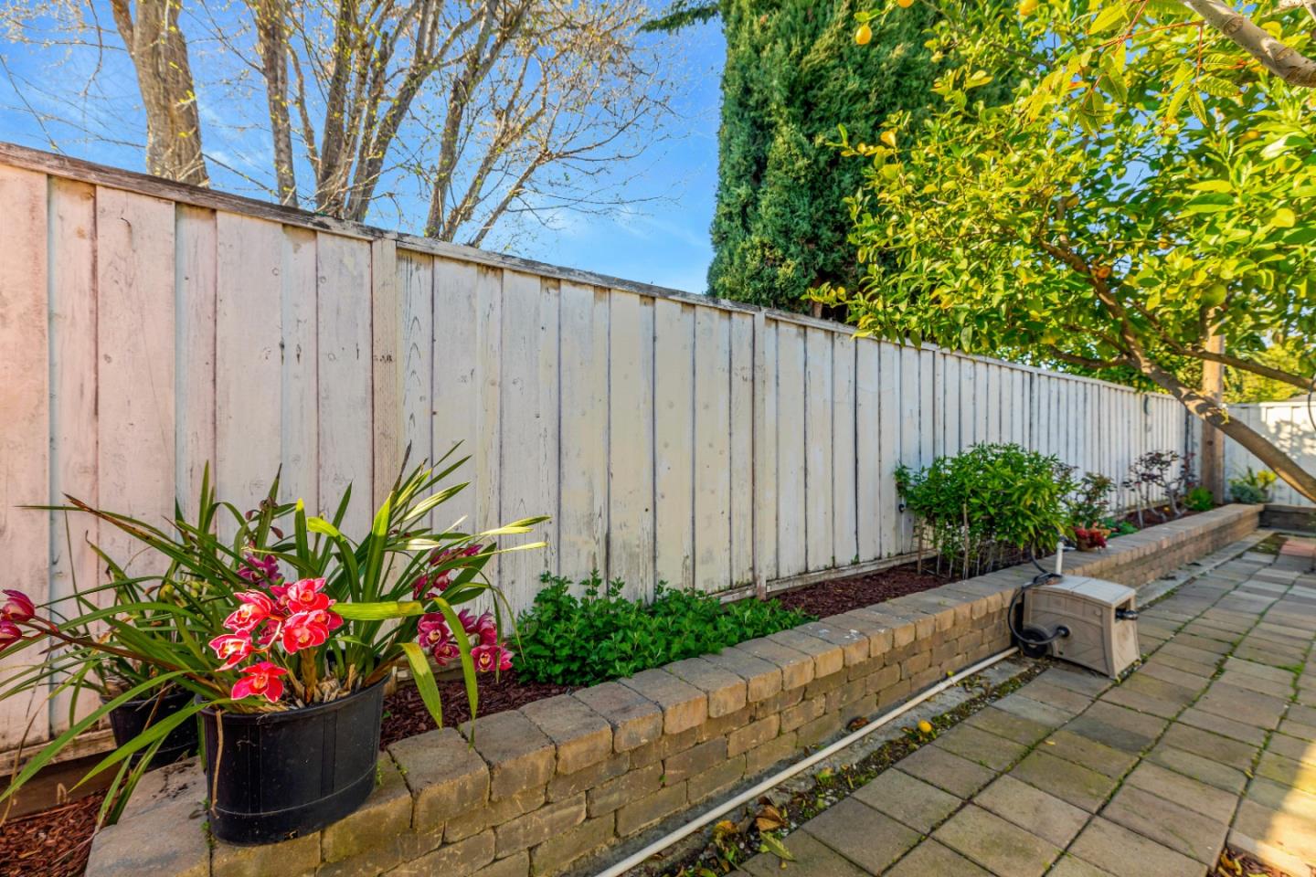 152 Brian Lane Santa Clara, CA 95051 - Photo 6 of 76