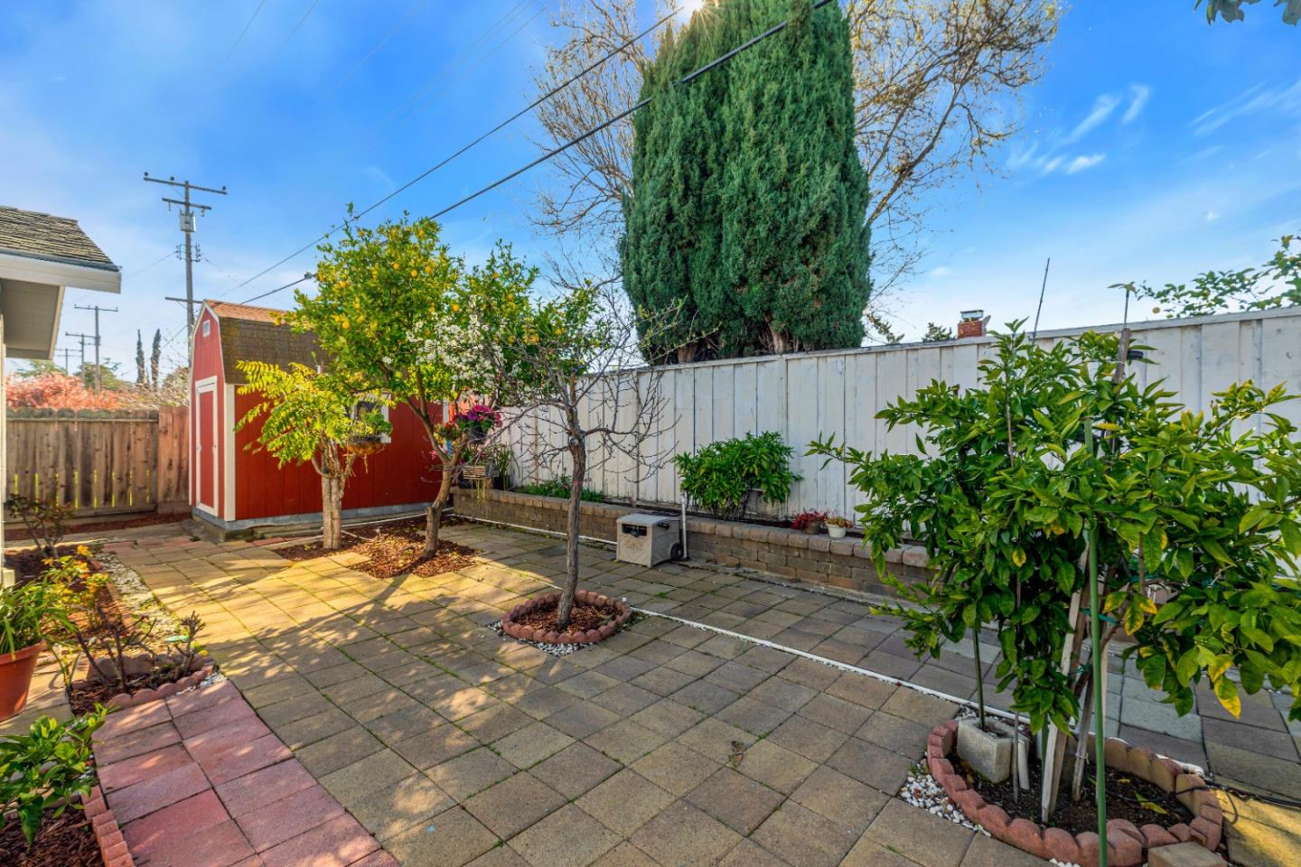 152 Brian Lane Santa Clara, CA 95051 - Photo 7 of 76 a view of a backyard with plants and a tree