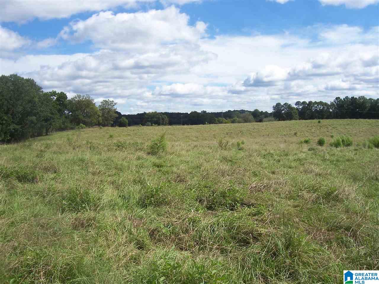 1 Hilton Road, Unit 57 ACRES Columbiana, AL 35051 - Photo 11 of 16