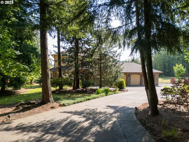 a street view with large tree