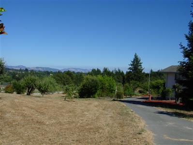 9980 Oconnell Road Sebastopol, CA 95472 - Photo 6 of 12 a view of a street