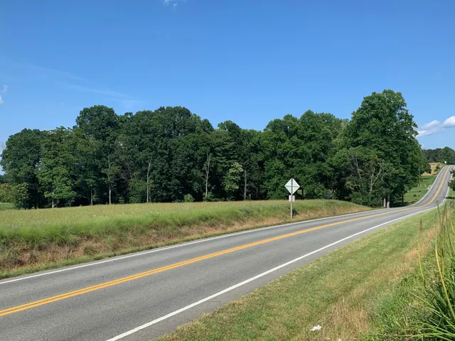 a view of a big yard with potted plants and mountain view