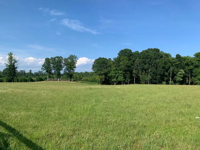 a view of a field with trees in the background