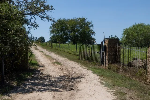 a view of a park with large trees