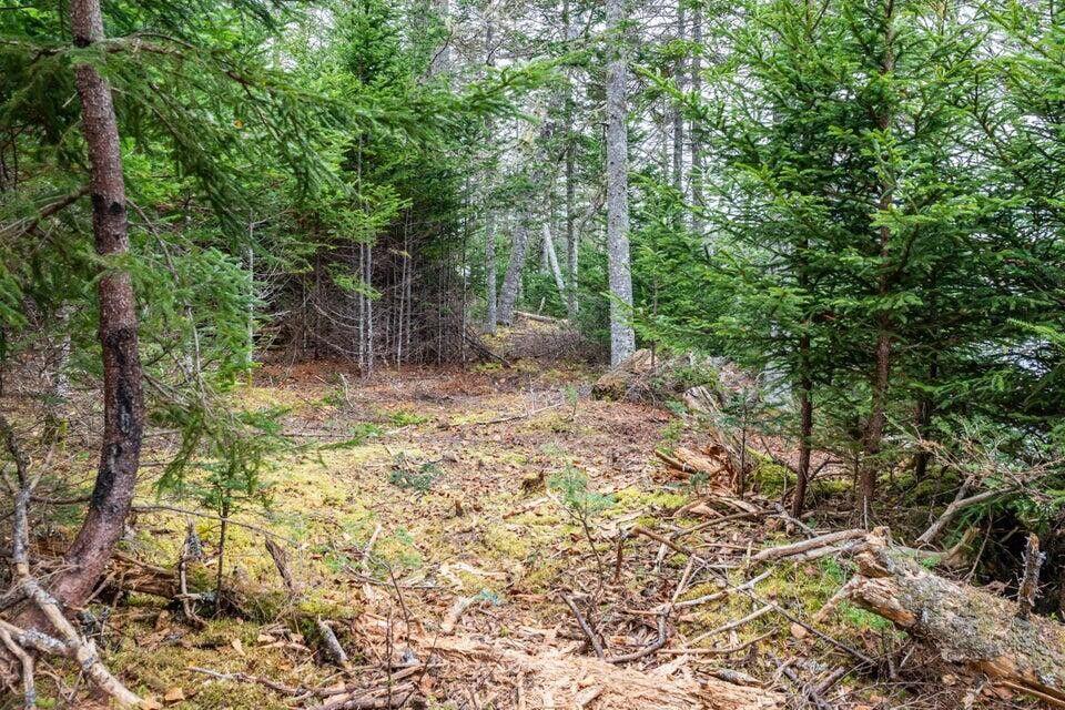 11 Quiet Shore Road Steuben, ME 04680 - Photo 22 of 31