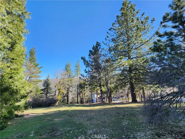 a view of a field with trees in the background