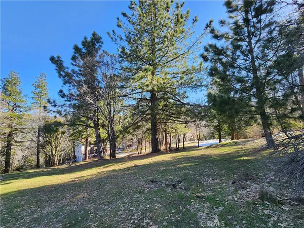 a view of outdoor space with trees all around