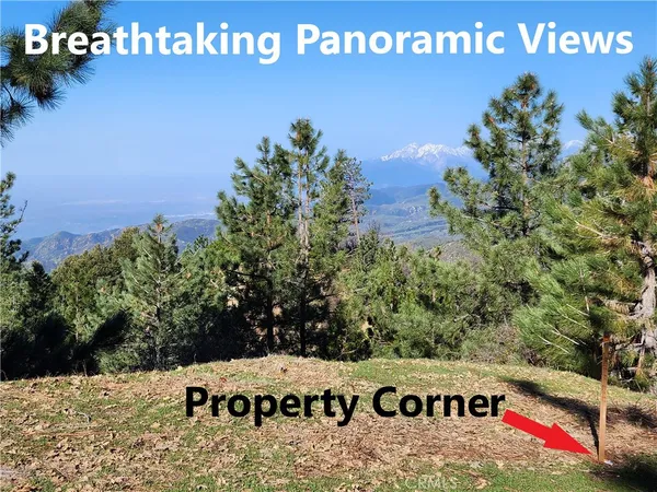 a view of a book and a yard