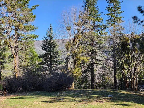 a view of a swimming pool with an outdoor space