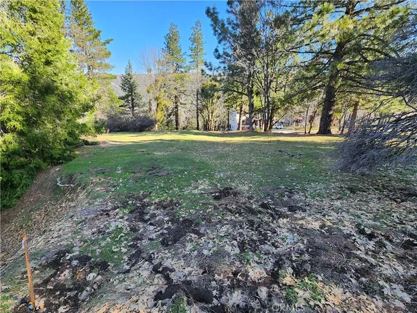 a view of outdoor space and trees