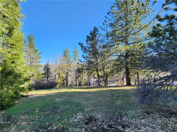 a view of yard with trees